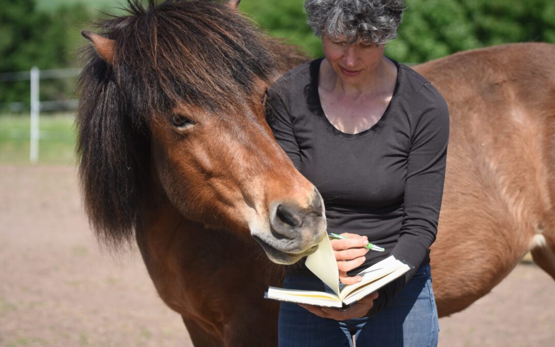 Von der Leidstute zur Leitstute – wie mir meine Intuition dabei hilft, meine Pferde mit Freude und Gelassenheit durchs Leben zu begleiten