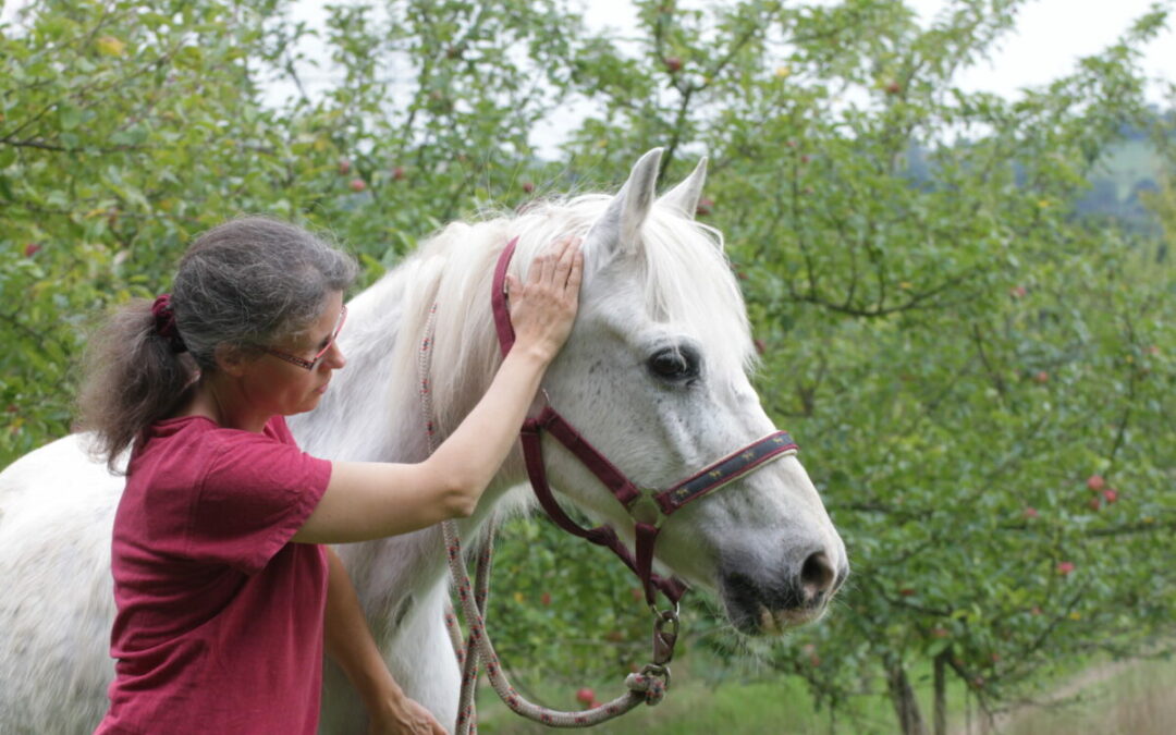 Was ist besser: dein Tier strömen lassen oder selbst strömen?