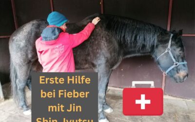 Strömen bei einem Pferd mit Fieber