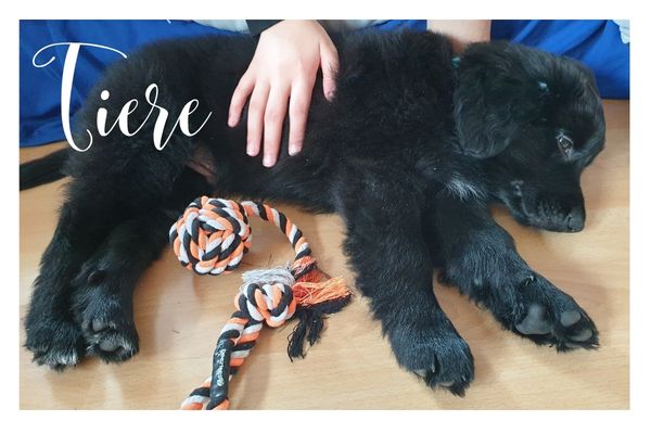 Jin Shin Jyutsu mit Menschen