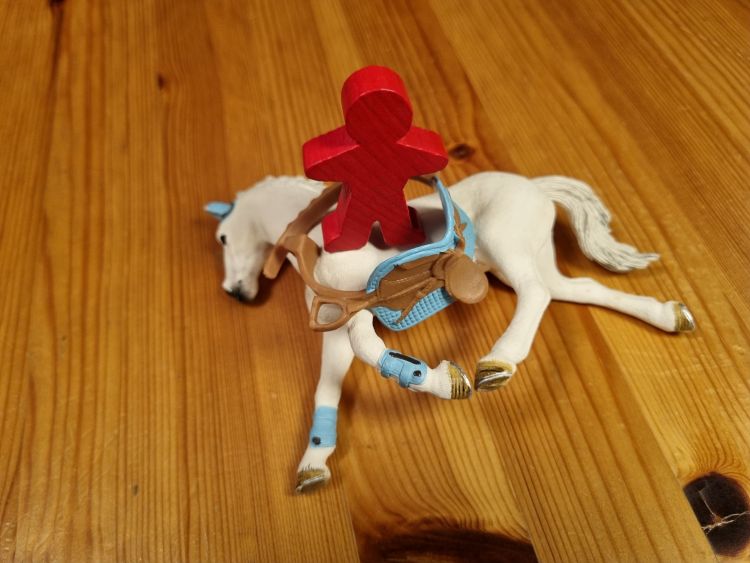 Pferd liegt Sattel liegt drauf-Stress